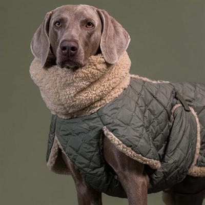 Paikka Quilted Sherpa Fleece Vinter Hundjacka Olive